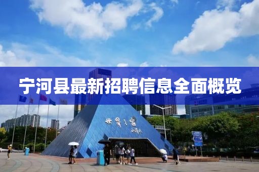 寧河縣最新招聘信息全面概覽