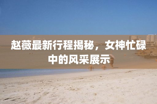 趙薇最新行程揭秘，女神忙碌中的風(fēng)采展示