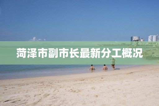 菏澤市副市長最新分工概況