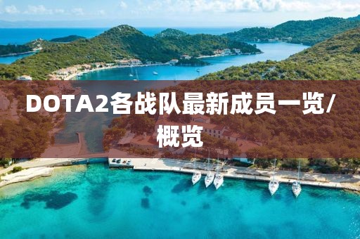 DOTA2各戰(zhàn)隊(duì)最新成員一覽/概覽