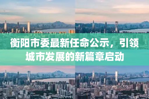 衡陽市委最新任命公示，引領(lǐng)城市發(fā)展的新篇章啟動