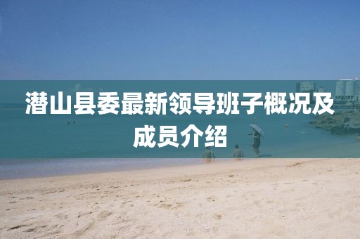 潛山縣委最新領導班子概況及成員介紹