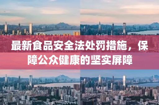 最新食品安全法處罰措施，保障公眾健康的堅(jiān)實(shí)屏障
