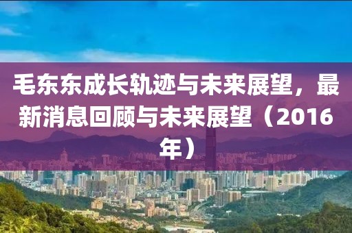毛東東成長軌跡與未來展望，最新消息回顧與未來展望（2016年）