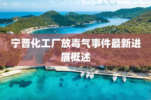 寧晉化工廠放毒氣事件最新進(jìn)展概述