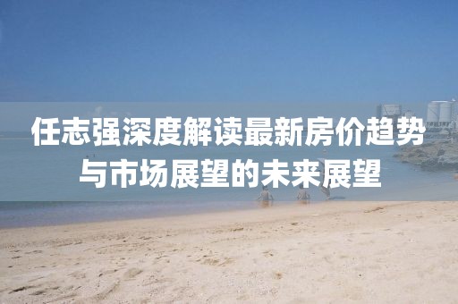任志強深度解讀最新房價趨勢與市場展望的未來展望