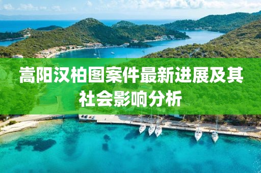 嵩陽(yáng)漢柏圖案件最新進(jìn)展及其社會(huì)影響分析