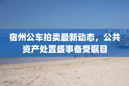 宿州公車拍賣最新動態(tài)，公共資產(chǎn)處置盛事備受矚目