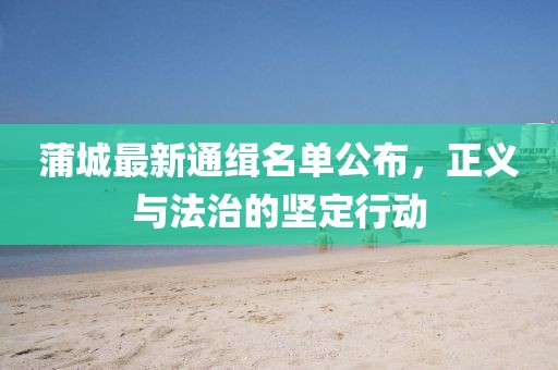 蒲城最新通緝名單公布，正義與法治的堅(jiān)定行動(dòng)