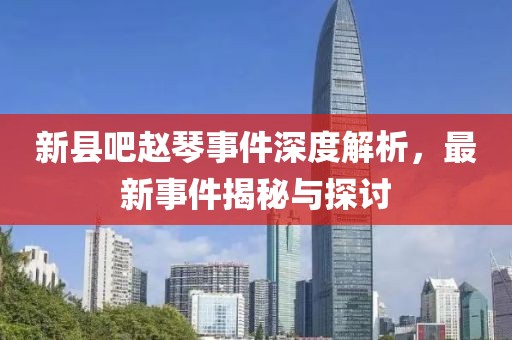 新縣吧趙琴事件深度解析，最新事件揭秘與探討