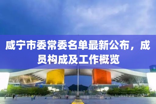 咸寧市委常委名單最新公布，成員構(gòu)成及工作概覽