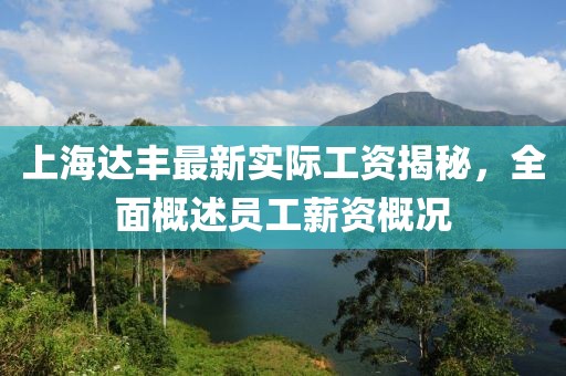 上海達(dá)豐最新實(shí)際工資揭秘，全面概述員工薪資概況