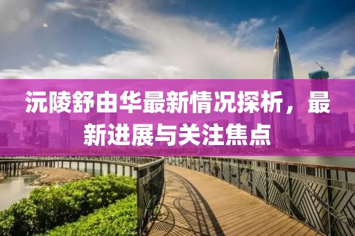 沅陵舒由華最新情況探析，最新進展與關注焦點