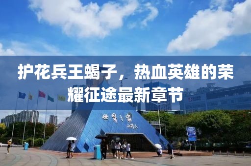 護花兵王蝎子，熱血英雄的榮耀征途最新章節(jié)