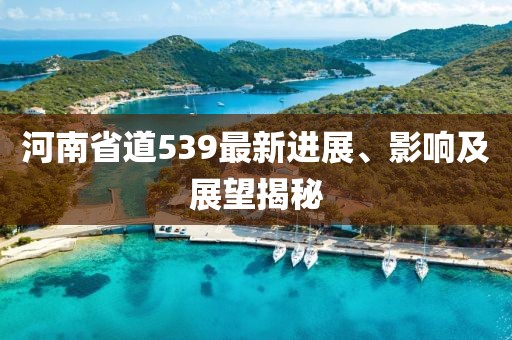 河南省道539最新進(jìn)展、影響及展望揭秘