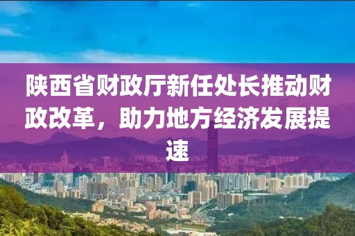 陜西省財(cái)政廳新任處長(zhǎng)推動(dòng)財(cái)政改革，助力地方經(jīng)濟(jì)發(fā)展提速