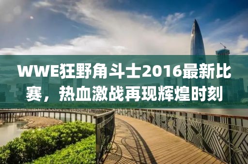 WWE狂野角斗士2016最新比賽，熱血激戰(zhàn)再現(xiàn)輝煌時(shí)刻