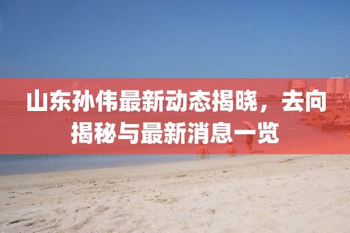 山東孫偉最新動態(tài)揭曉，去向揭秘與最新消息一覽