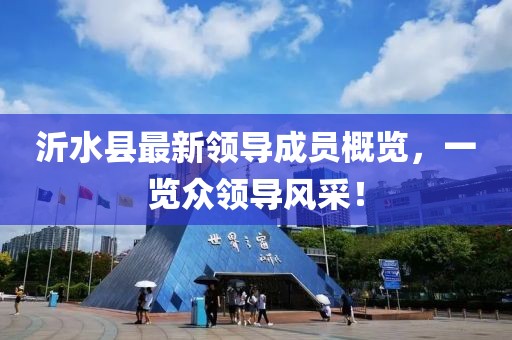 沂水縣最新領(lǐng)導(dǎo)成員概覽，一覽眾領(lǐng)導(dǎo)風(fēng)采！