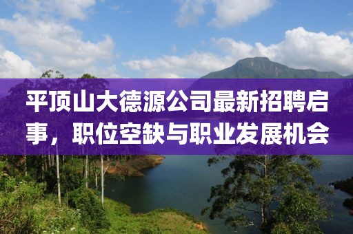 平頂山大德源公司最新招聘啟事，職位空缺與職業(yè)發(fā)展機會