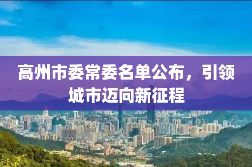 高州市委常委名單公布，引領(lǐng)城市邁向新征程