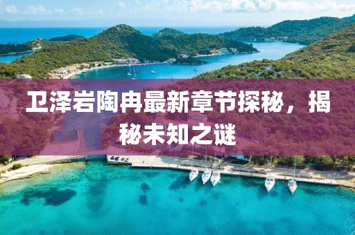 衛(wèi)澤巖陶冉最新章節(jié)探秘，揭秘未知之謎