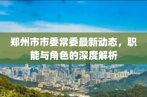 鄭州市市委常委最新動態(tài)，職能與角色的深度解析