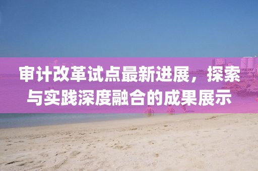 審計(jì)改革試點(diǎn)最新進(jìn)展，探索與實(shí)踐深度融合的成果展示