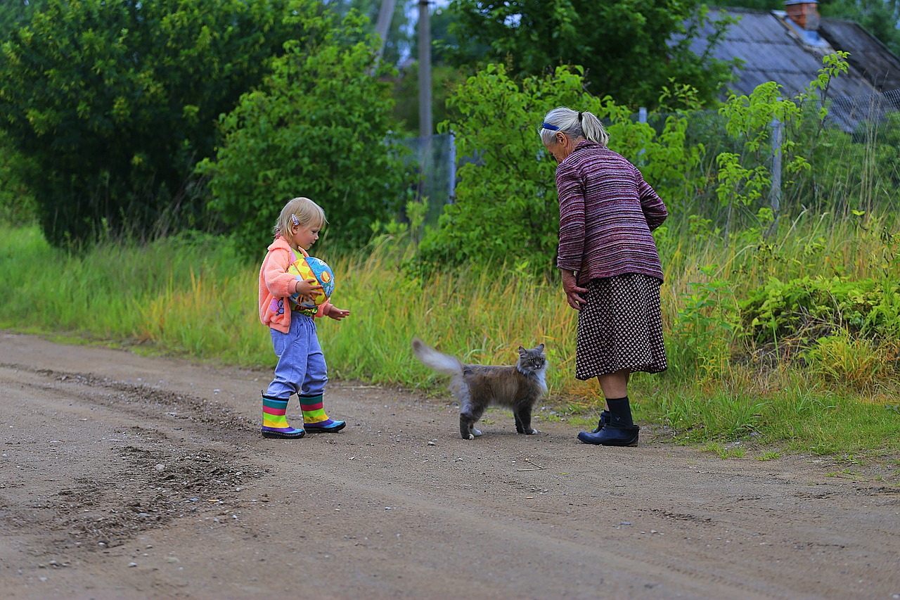 最新農(nóng)村愛情電視劇，鄉(xiāng)村生活的浪漫與真實(shí)之旅
