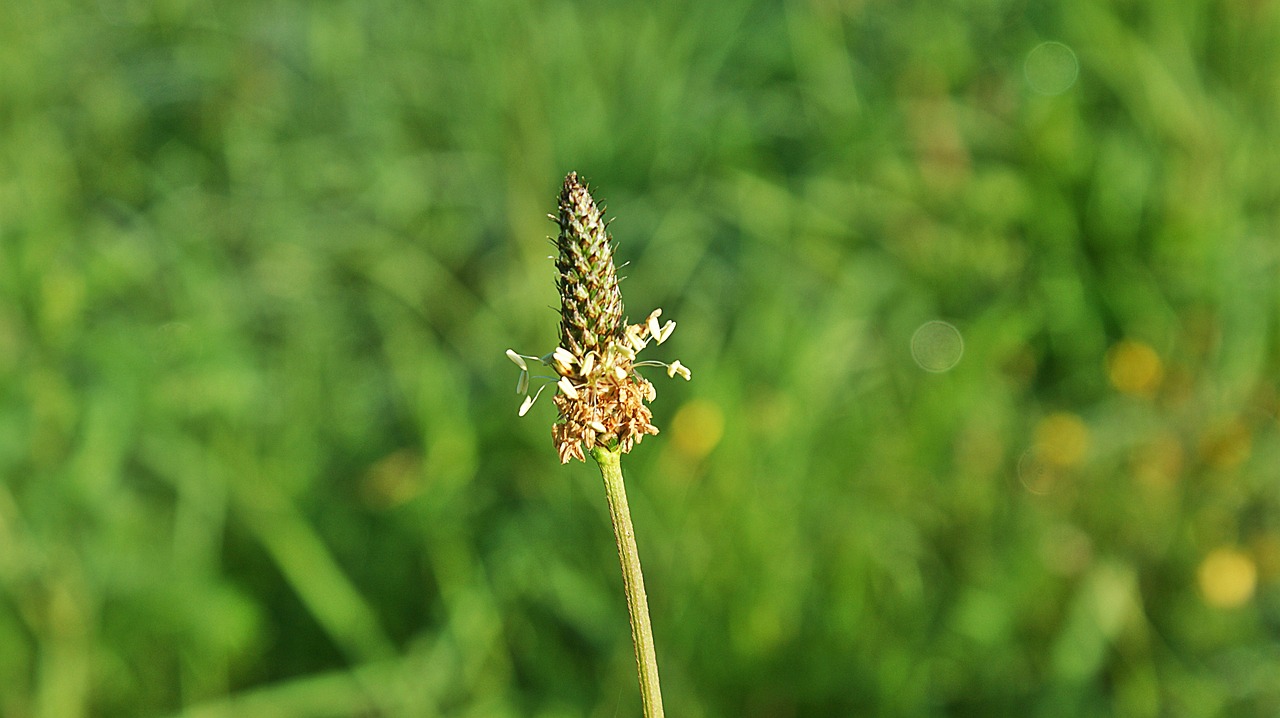 泰安南湖麗景最新動(dòng)態(tài)揭秘，城市新篇章的璀璨綻放