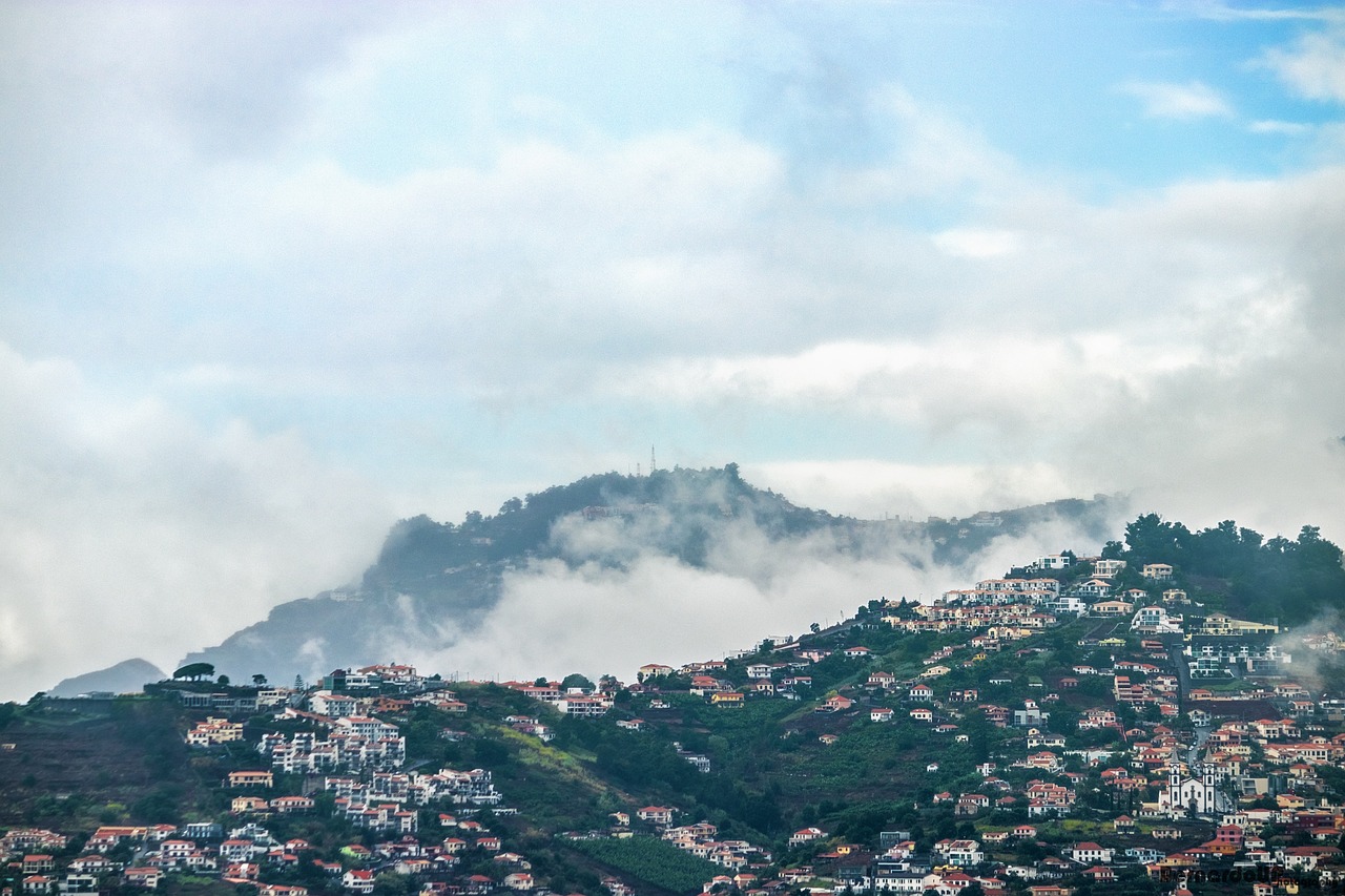 濟(jì)南新聞網(wǎng)最新新聞，城市動(dòng)態(tài)與經(jīng)濟(jì)脈搏的交融報(bào)道