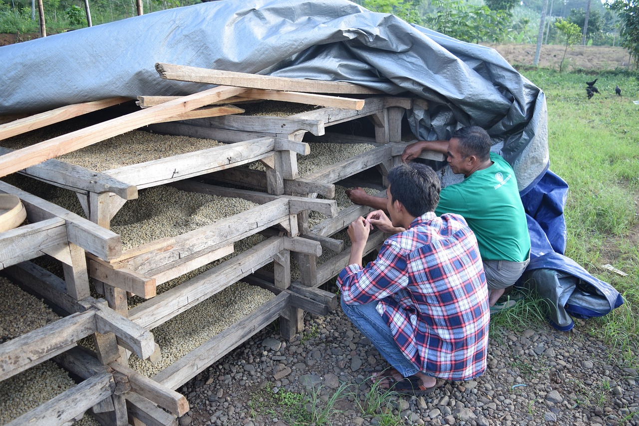 溧水土拍最新動(dòng)態(tài)，市場(chǎng)動(dòng)向及未來(lái)發(fā)展展望