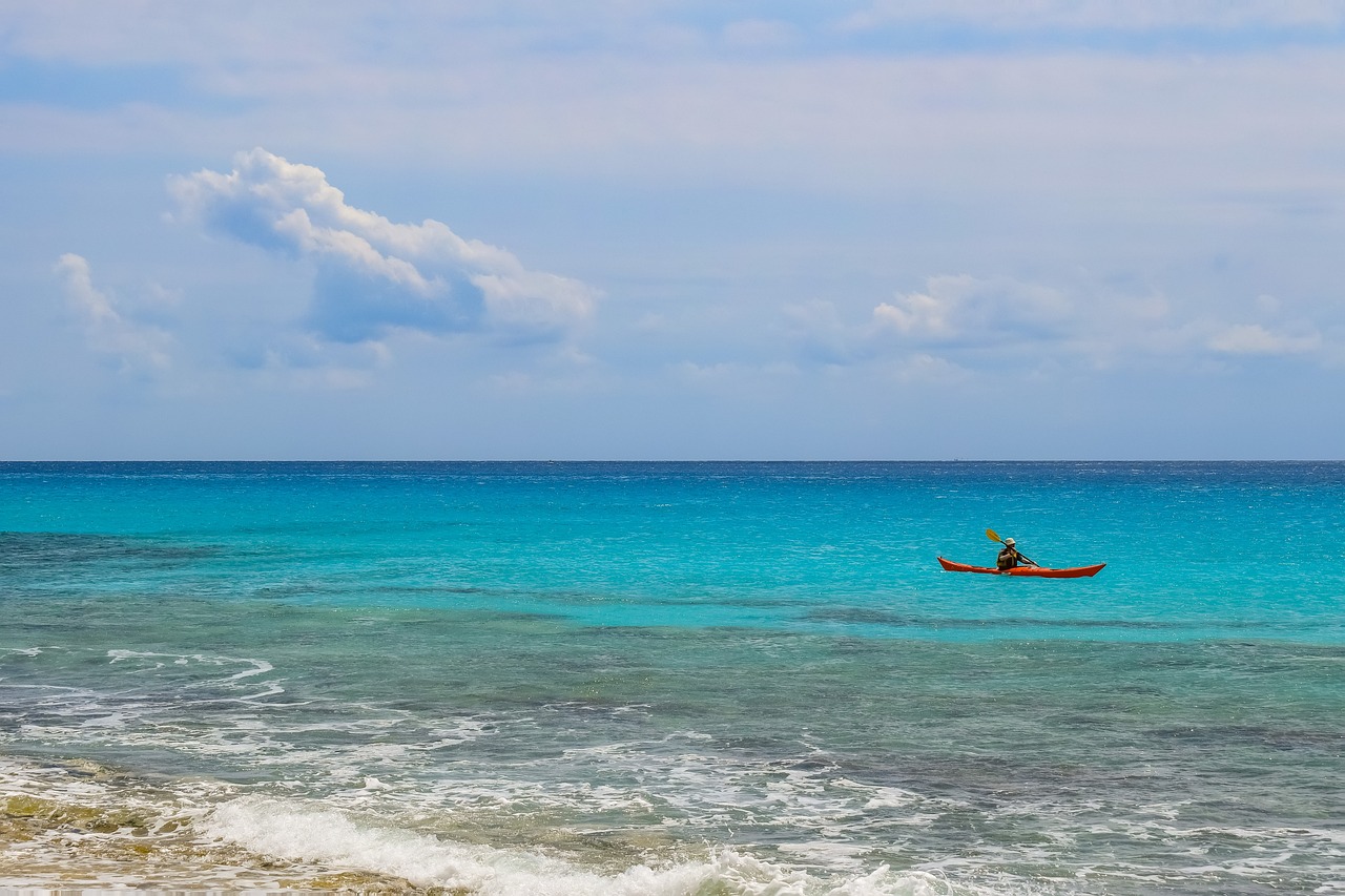 光緒元寶銅幣最新動態(tài)，收藏市場的新焦點(diǎn)揭秘