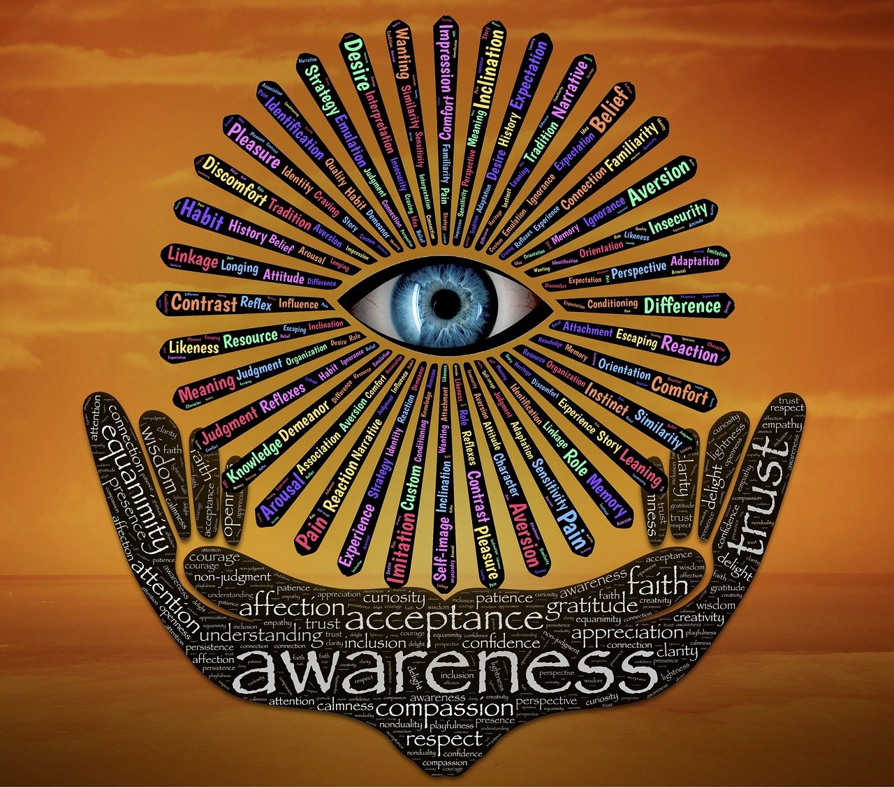 權(quán)力巔峰，官場(chǎng)探索與反思的啟示