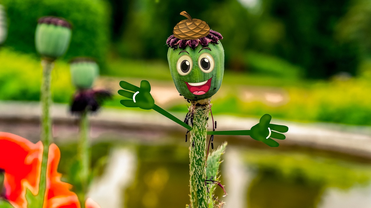 阿凡提下載免費(fèi)最新版，智慧與樂趣的完美融合體驗(yàn)