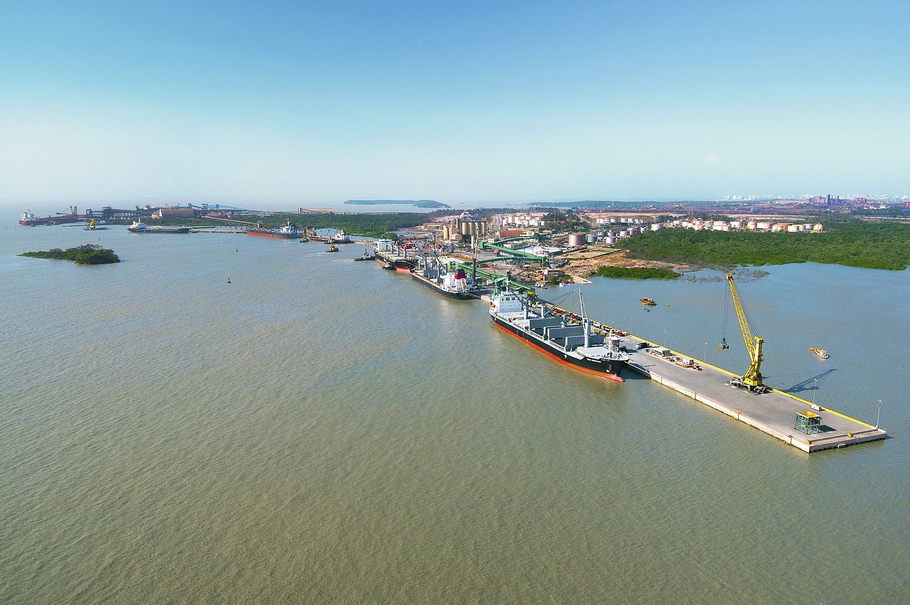 國產(chǎn)大豆收購最新動態(tài)，市場趨勢與產(chǎn)業(yè)動態(tài)深度解析