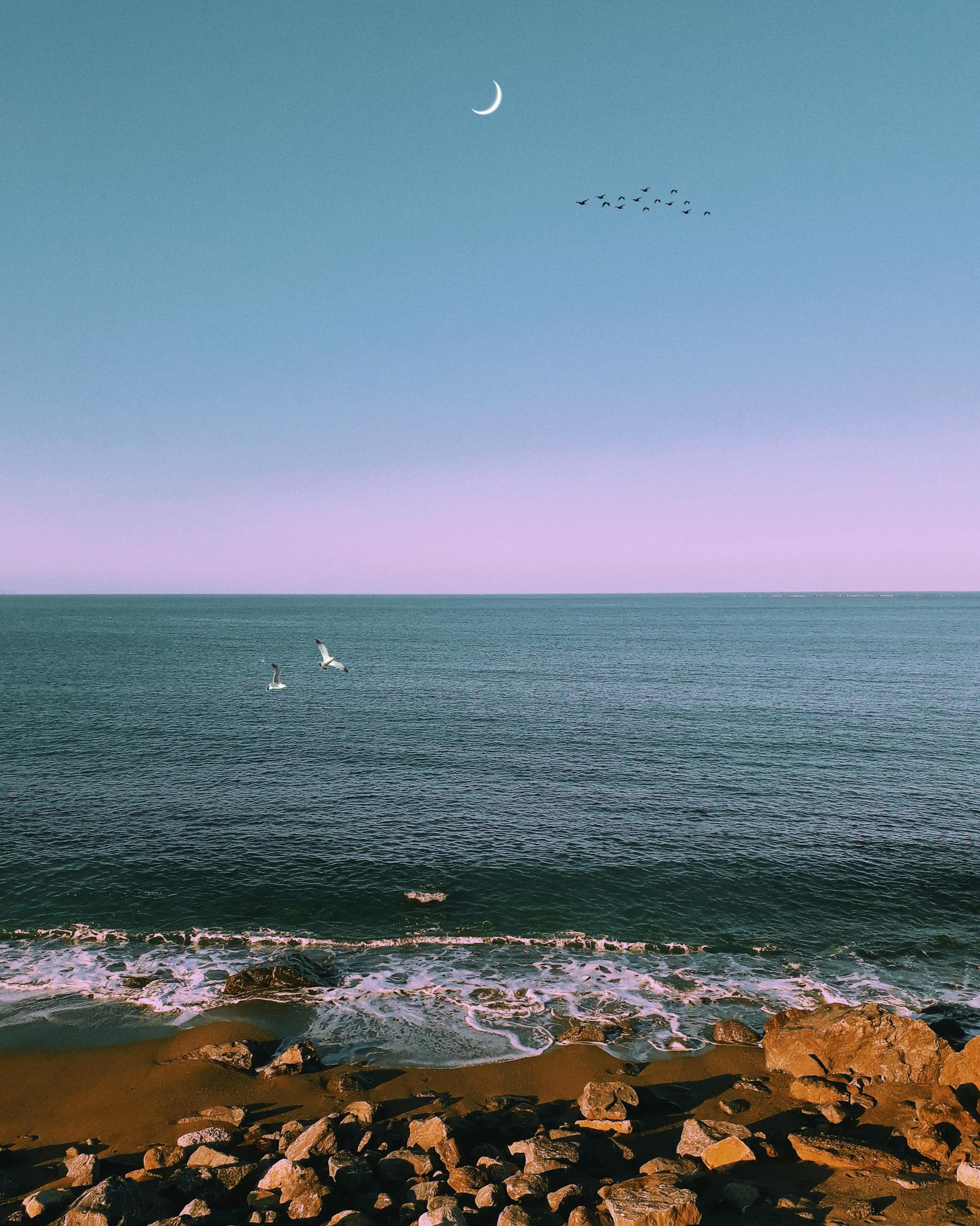 馬特波莫最新動態(tài)揭秘，引領(lǐng)前沿科技，開啟未來趨勢新篇章