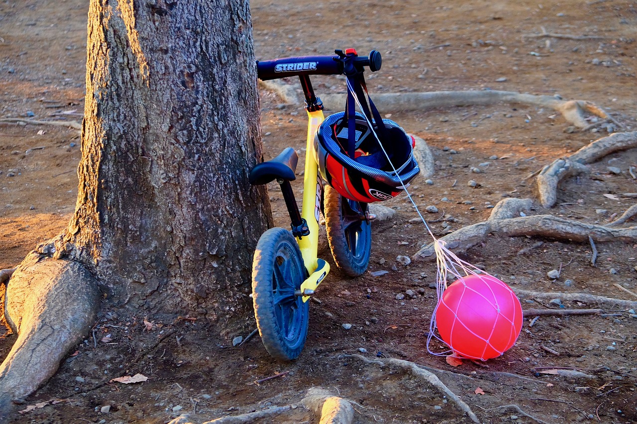 收養(yǎng)法修改最新動(dòng)態(tài)，重塑收養(yǎng)制度，保障兒童權(quán)益