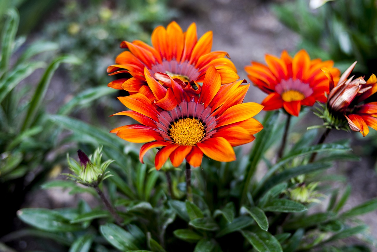 笑臉帶眼紅 第20頁(yè)