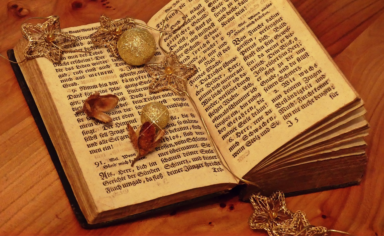 嫖文執(zhí)行者，探索與啟示的最新章節(jié)