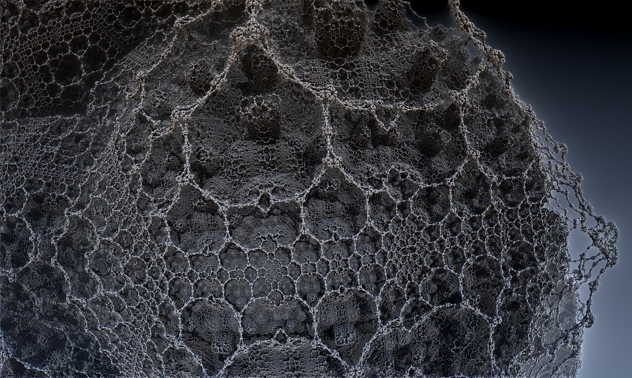 湛江李昌梧最新動(dòng)態(tài)，傳奇人物的嶄新篇章