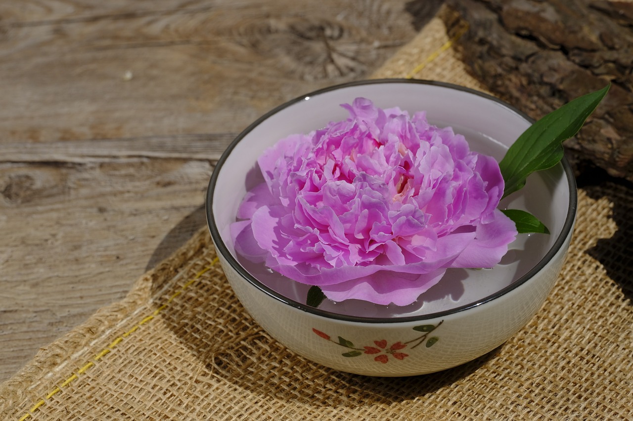 大康牧業(yè)利好消息深度解析，最新動態(tài)帶來積極前景