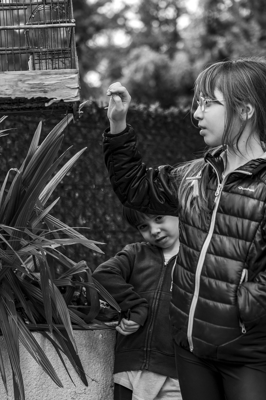 自然與科技融合的未來探索，自然界云棲最新動態(tài)揭秘