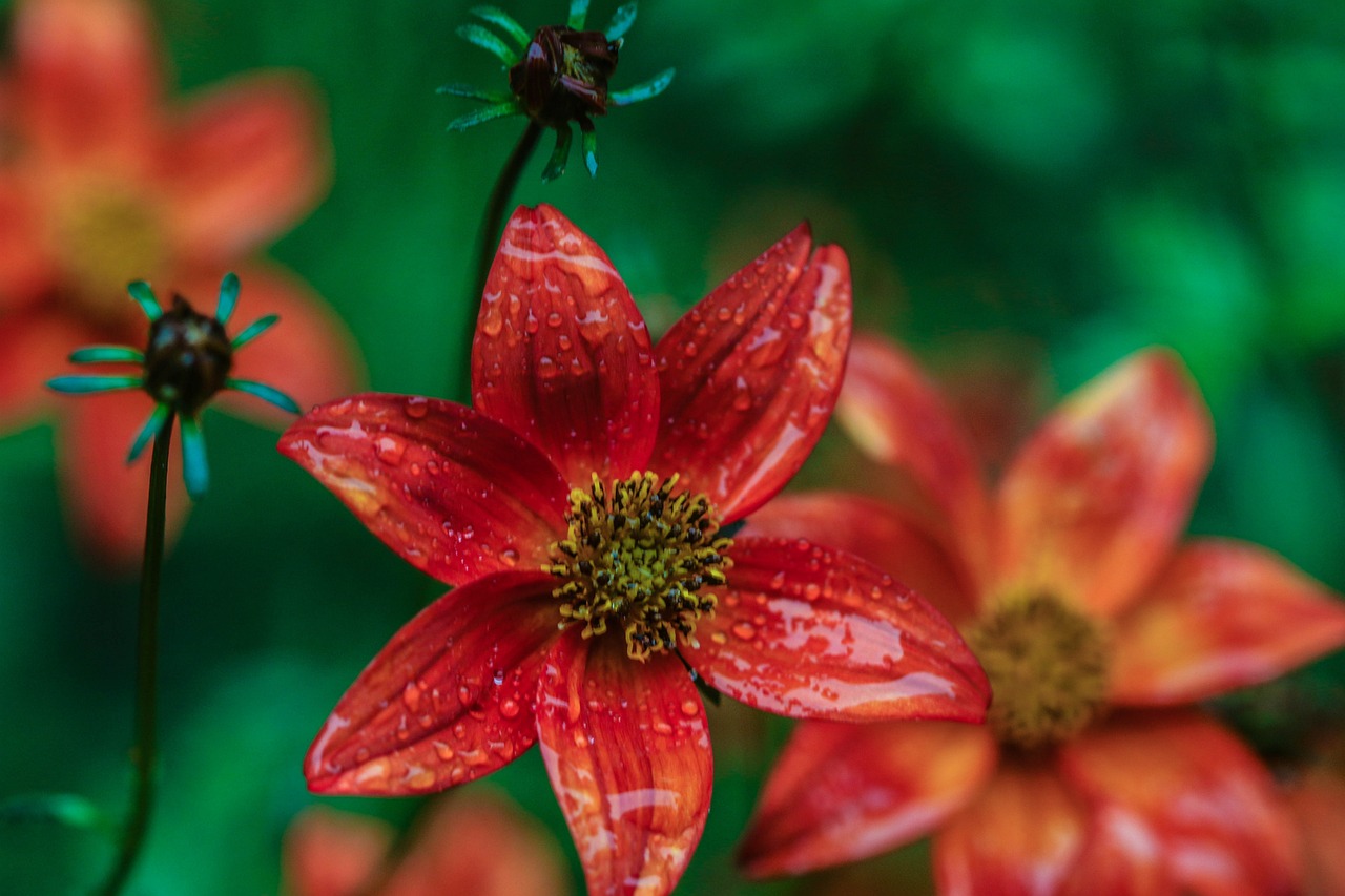 懷來萬悅廣場(chǎng)，城市新地標(biāo)，引領(lǐng)未來生活風(fēng)尚新動(dòng)態(tài)