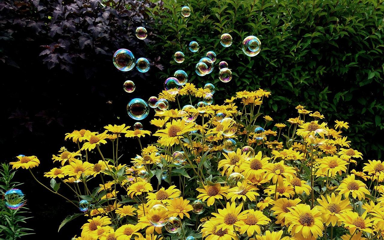 盱眙馬壩鐵路最新動(dòng)態(tài)，深度解析最新消息