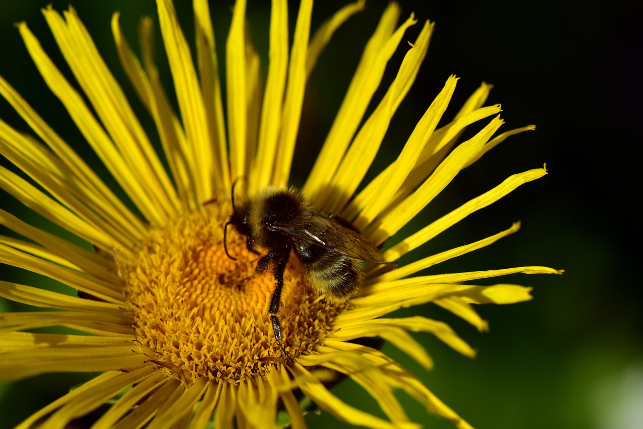 太原城市改造最新動(dòng)態(tài)，煥新顏，發(fā)展提速