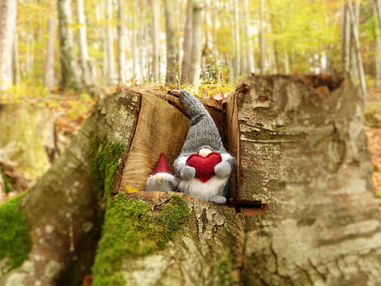 武警王信的英勇事跡與時代精神，最新消息揭秘