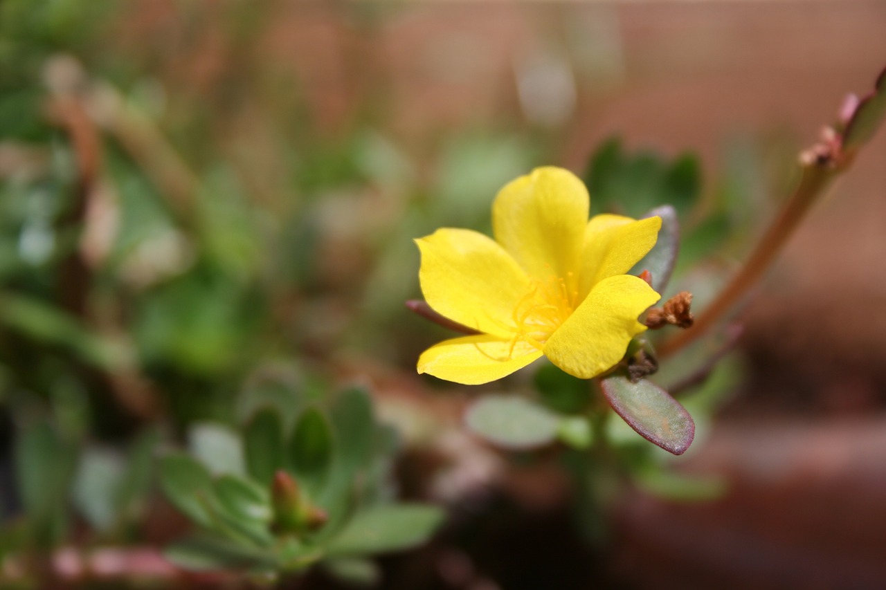 威海泊于水庫(kù)最新動(dòng)態(tài)，進(jìn)展、影響與展望