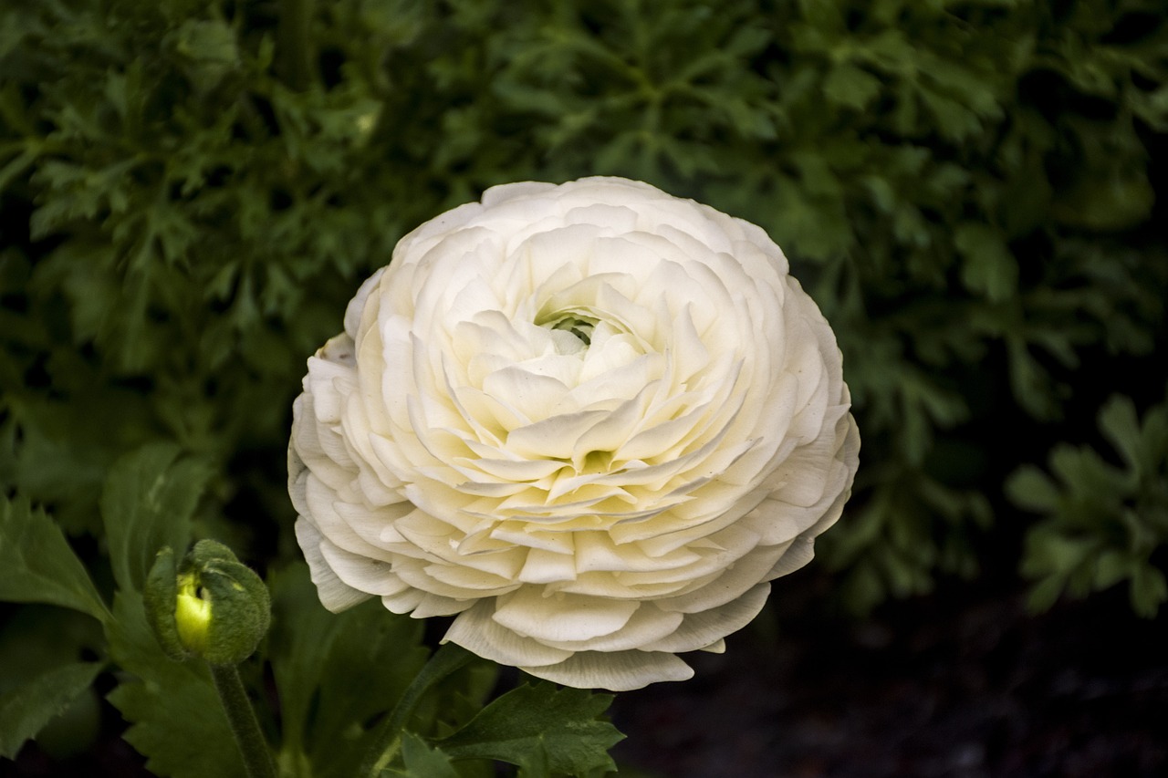 昆山花橋?；▓@最新房價(jià)動(dòng)態(tài)及趨勢分析