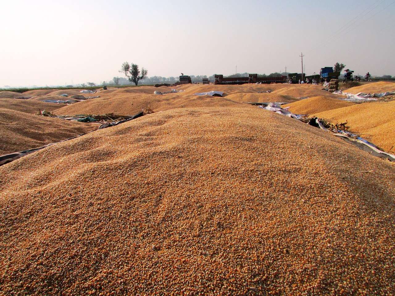 技術(shù)革新引領(lǐng)小型鋼廠行業(yè)新風(fēng)向，最新消息揭秘發(fā)展動(dòng)態(tài)